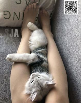 国产亚洲一级毛片_BD韩语最新电影在线观看